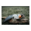 Miniatyrbild 2 av 3: Dog toy Hunter Seagull White