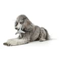 Miniatyrbild 4 av 6: Dog toy Hunter Skagen Dark blue Starfish