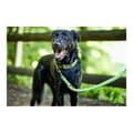 Miniatyrbillede 4 af 5: Dog Lead Hunter HILO Lime (200 cm)