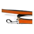 Miniatyrbild 4 av 6: Dog Lead Gloria 1.8 x 100 cm Orange