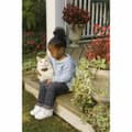 Miniatyrbild 3 av 4: Wireless Pet Containment System PetSafe Pcf-1000-20