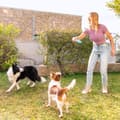 Miniatyrbild 4 av 10: 2-in-1 Freezable Pet Chew Toy Glubiz InnovaGoods