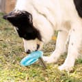 Miniatyrbild 5 av 10: 2-in-1 Freezable Pet Chew Toy Glubiz InnovaGoods