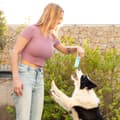 Miniatyrbild 9 av 10: 2-in-1 Freezable Pet Chew Toy Glubiz InnovaGoods