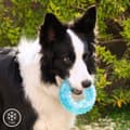 Miniatyrbild 1 av 10: 2-in-1 Freezable Pet Chew Toy Glubiz InnovaGoods