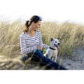 Miniatyrbillede 4 af 4: Dog Lead Flexi Flexi 5 m Pink M