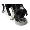 Miniatyrbild 3 av 5: Dog Feeder Hunter Melamin 900 ml