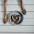 Miniatyrbild 2 av 5: Dog Feeder Hunter Melamin 900 ml