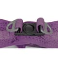 Miniatyrbild 3 av 6: Dog Harness Gloria 41,4-43 cm Purple S 29,4-32,6 cm