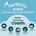 Miniatyrbillede 8 af 10: Training toy Coachi TUGGI HIDE Blue