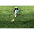 Miniatyrbillede 9 af 10: Training toy Coachi TUGGI HIDE Blue