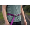 Miniatyrbild 5 av 7: Dog Lead Red Dingo Orange