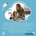 Miniatyrbild 3 av 8: Training toy Coachi TRAINING DUMMY Blue
