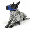 Miniatyrbild 2 av 2: Muzzle KVP Soft