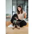 Miniatyrbillede 2 af 3: Dog Lead Hunter Green 2 m Adjustable