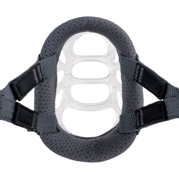 Muzzle Company of Animals Transparent 3