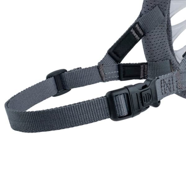 Muzzle Company of Animals Transparent 3