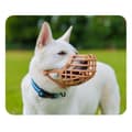 Miniatyrbild 3 av 6: Muzzle Company of Animals Brown Size 1