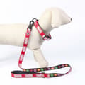 Miniatyrbillede 6 af 10: Dog Lead Marvel