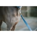 Miniatyrbillede 3 af 4: Dog Lead Hunter Blue 100 cm