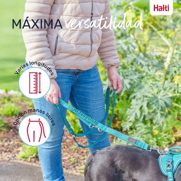 Dog Lead Company of Animals Green S