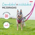 Miniatyrbillede 2 af 6: Dog Lead Company of Animals Green S