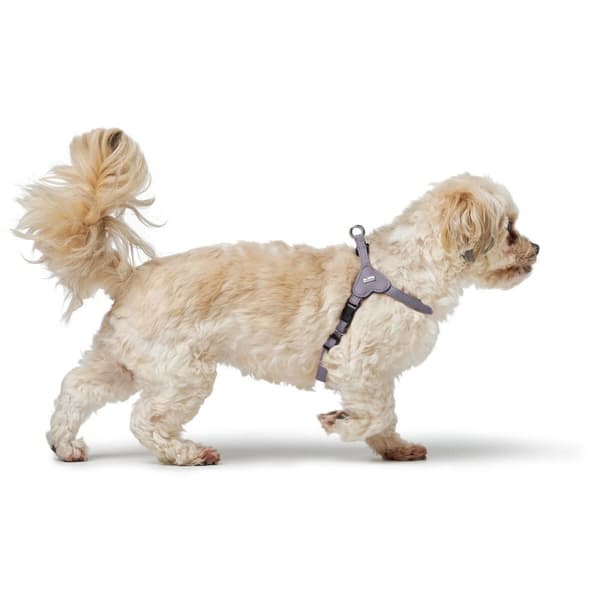 Dog Harness Hunter SOHO MINI Lilac XS/S
