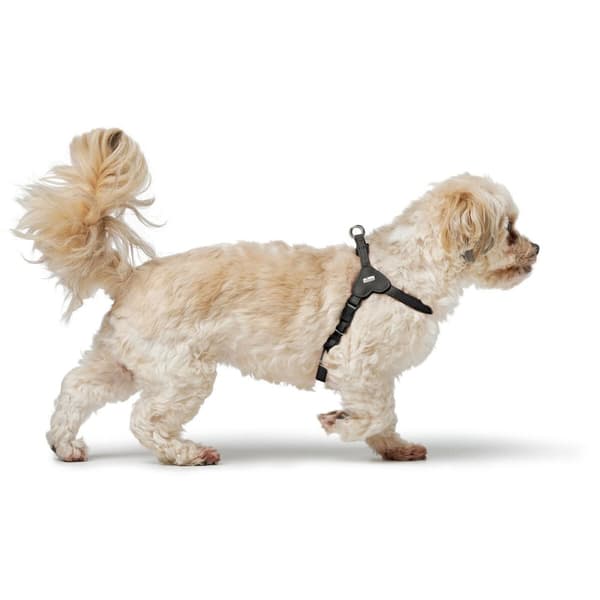 Dog Harness Hunter SOHO MINI Black XS/S