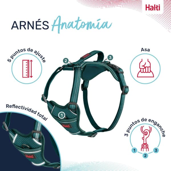 Dog Harness Company of Animals Turquoise XS 20-32 cm