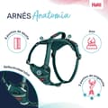 Miniatyrbild 2 av 6: Dog Harness Company of Animals Turquoise XS 20-32 cm