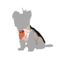 Miniatyrbillede 4 af 4: Dog Costume Size S Wizard