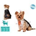 Miniatyrbillede 2 af 4: Dog Costume Size S Wizard
