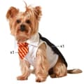 Miniatyrbillede 1 af 4: Dog Costume Size S Wizard