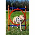Miniatyrbild 3 av 3: Training toy Trixie