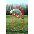 Miniatyrbild 2 av 3: Training toy Trixie