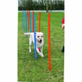 Miniatyrbild 3 av 3: Training toy Trixie