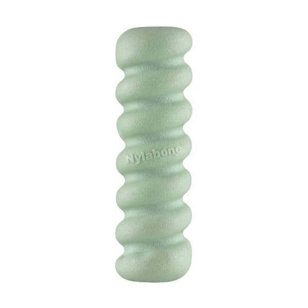 Dog chewing toy Nylabone SENSORY TACTILE STICK Green Peanut butter Bacon S