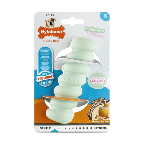 Dog chewing toy Nylabone SENSORY TACTILE STICK Green Peanut butter Bacon S