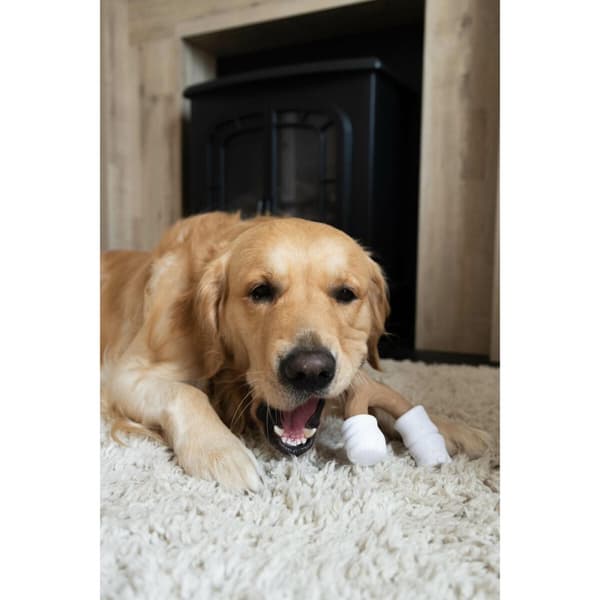 Dog toy Nylabone Brown Peanut butter L