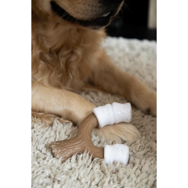 Dog toy Nylabone Brown Peanut butter L