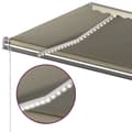 Miniatyrbillede 7 af 11: vidaXL markise m. LED-lys 600x300 cm manuel betjening cremefarvet