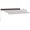 Miniatyrbilde 5 av 9: vidaXL Manuell uttrekkbar markise brun 300x250 cm