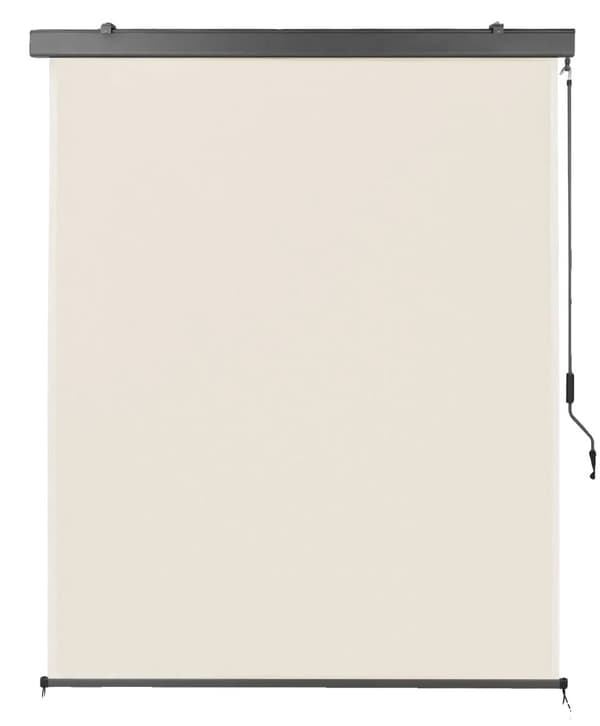 Käytettävä pystysuora markiisi, UV-suojattu, manuaalinen käyttö,Beige 160 cm x 250 cm