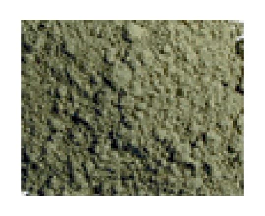 Vallejo Pigment Green Earth