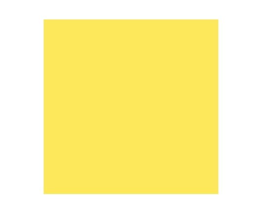 Vallejo Farba Nr10 Light Yellow 17ml - 70949