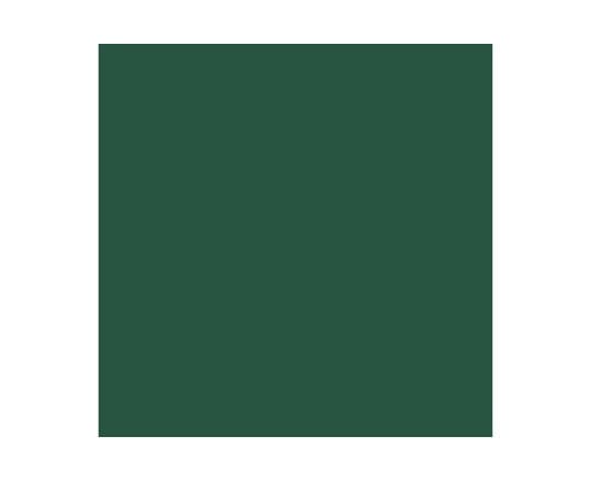 Vallejo Vallejo: 72.067 - Game Color - Cayman Green (18 ml)