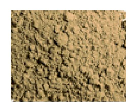Vallejo Pigment Dark Yellow Ocre 73103