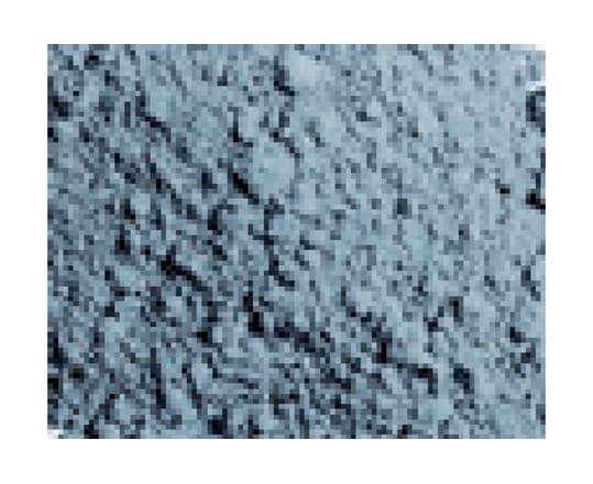 Pigments light slate grey 35ml