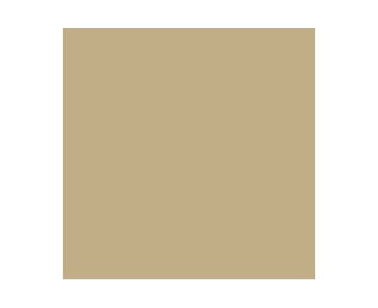 Model Air 17ml ivory RAL1001
