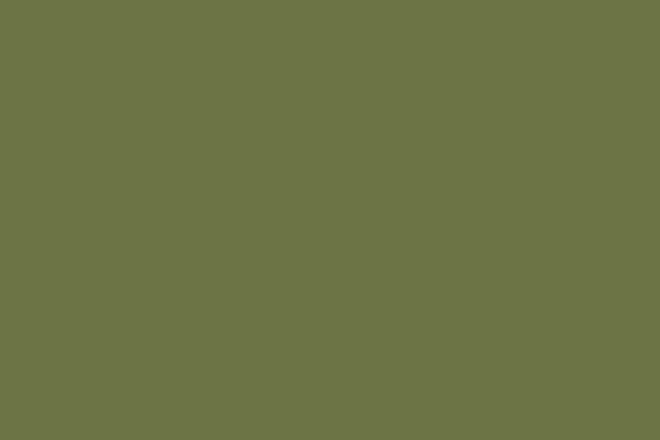 Vallejo Farba Modelarska Fantasy Color Goblin Green Vallejo Spray uniwersalny